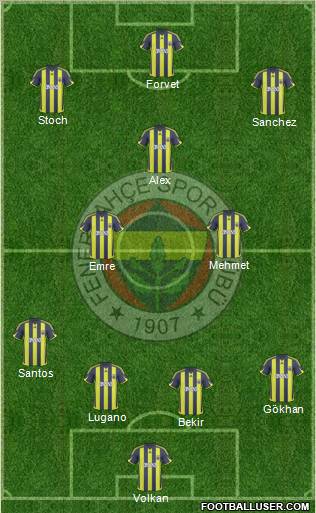 Fenerbahçe SK Formation 2010