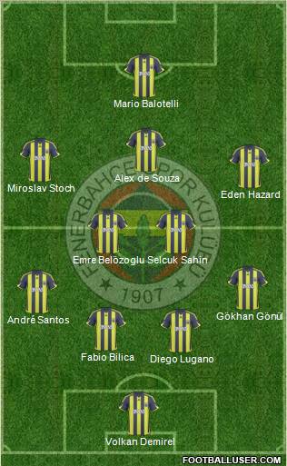 Fenerbahçe SK Formation 2010