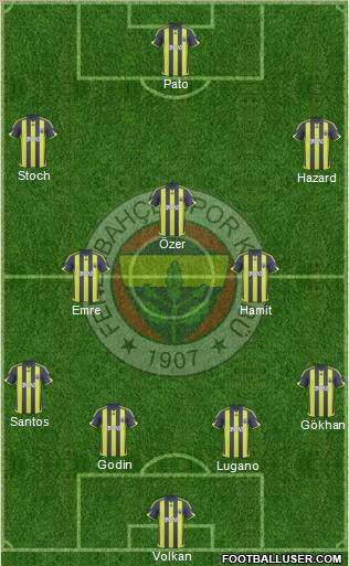 Fenerbahçe SK Formation 2010