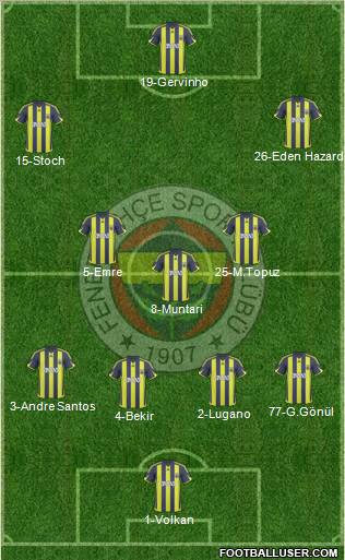 Fenerbahçe SK Formation 2010