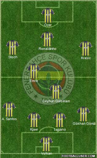 Fenerbahçe SK Formation 2010