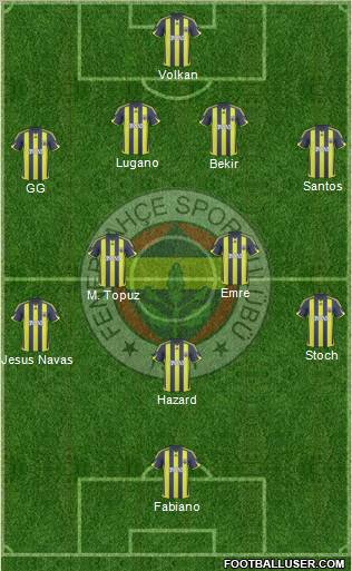 Fenerbahçe SK Formation 2010