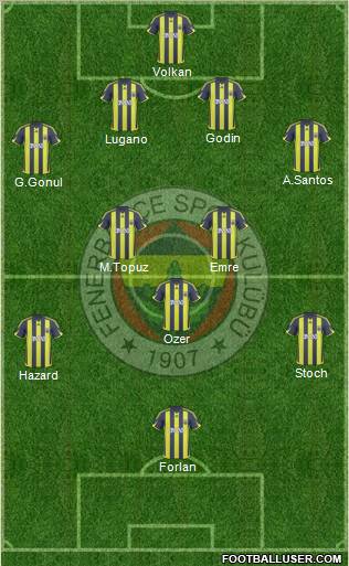 Fenerbahçe SK Formation 2010
