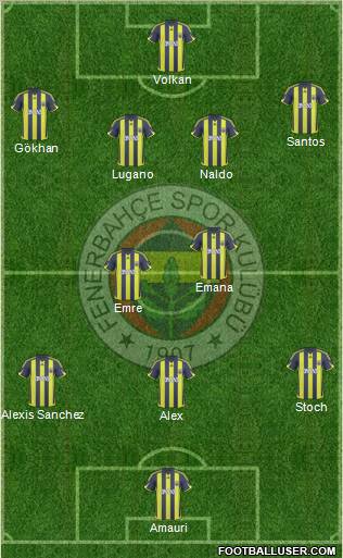 Fenerbahçe SK Formation 2010