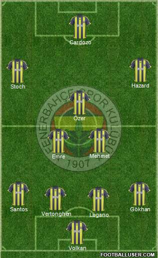 Fenerbahçe SK Formation 2010