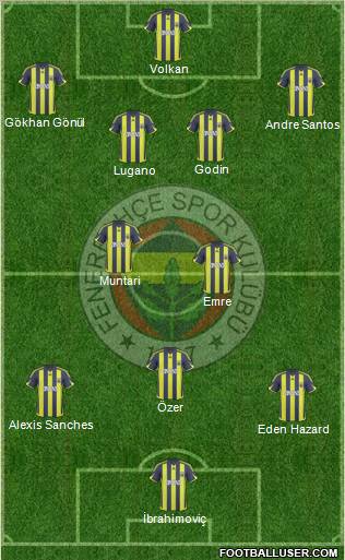 Fenerbahçe SK Formation 2010