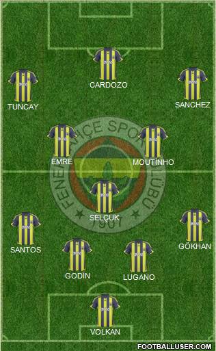 Fenerbahçe SK Formation 2010