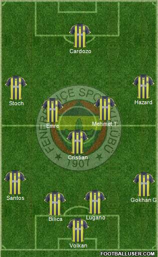 Fenerbahçe SK Formation 2010