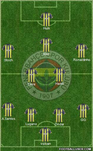 Fenerbahçe SK Formation 2010