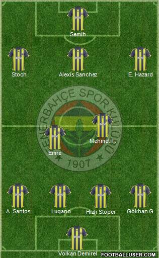 Fenerbahçe SK Formation 2010