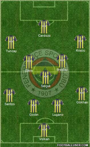 Fenerbahçe SK Formation 2010