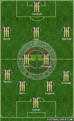 Fenerbahçe SK Formation 2010