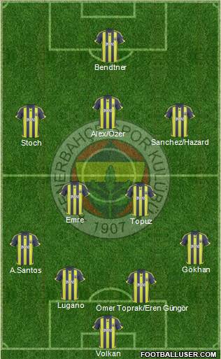 Fenerbahçe SK Formation 2010