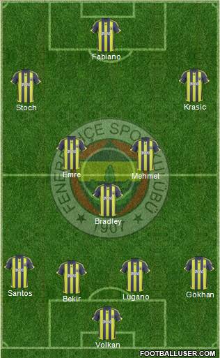 Fenerbahçe SK Formation 2010