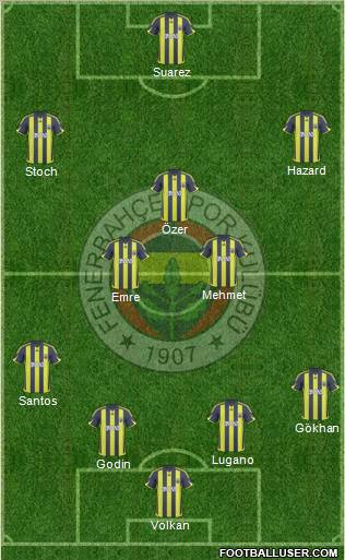 Fenerbahçe SK Formation 2010