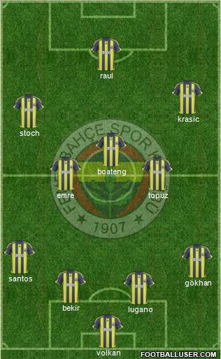 Fenerbahçe SK Formation 2010
