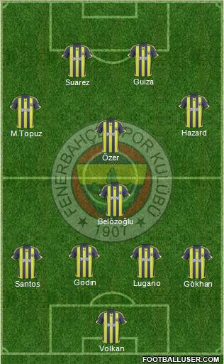 Fenerbahçe SK Formation 2010