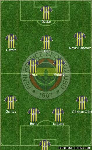 Fenerbahçe SK Formation 2010