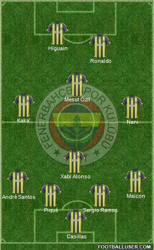 Fenerbahçe SK Formation 2010