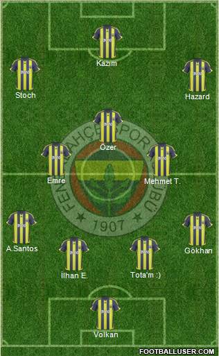 Fenerbahçe SK Formation 2010