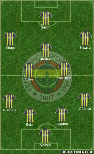 Fenerbahçe SK Formation 2010
