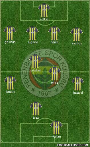 Fenerbahçe SK Formation 2010