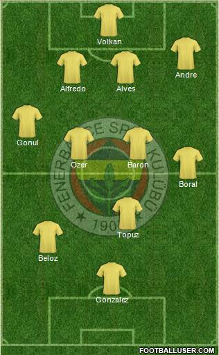 Fenerbahçe SK Formation 2010