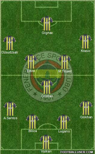Fenerbahçe SK Formation 2010
