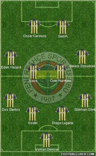 Fenerbahçe SK Formation 2010