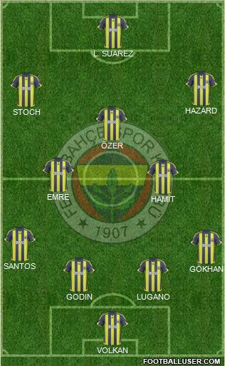 Fenerbahçe SK Formation 2010