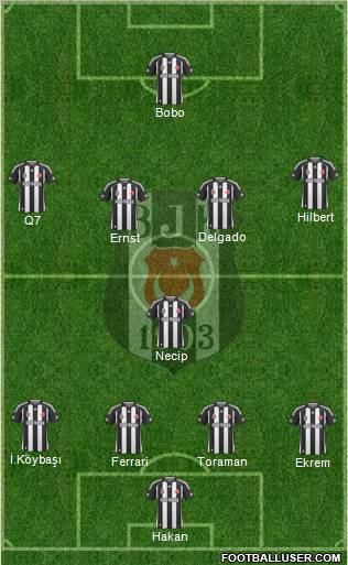 Besiktas JK Formation 2010