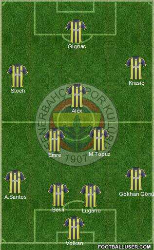 Fenerbahçe SK Formation 2010
