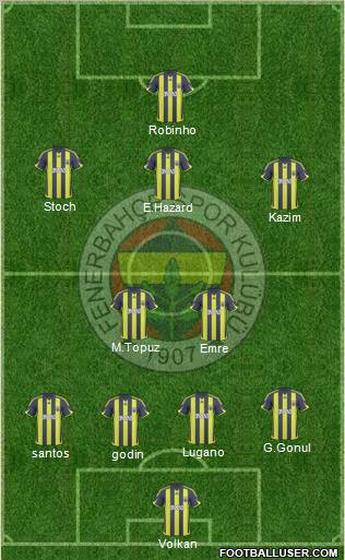 Fenerbahçe SK Formation 2010