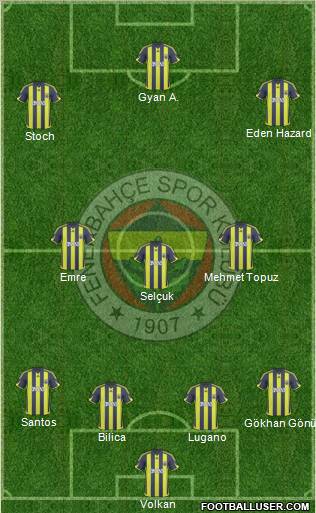 Fenerbahçe SK Formation 2010