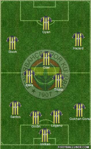 Fenerbahçe SK Formation 2010