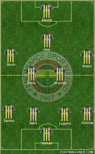 Fenerbahçe SK Formation 2010