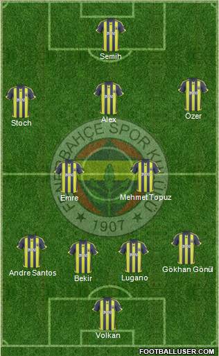 Fenerbahçe SK Formation 2010