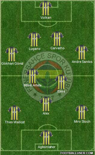 Fenerbahçe SK Formation 2010