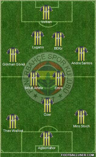 Fenerbahçe SK Formation 2010