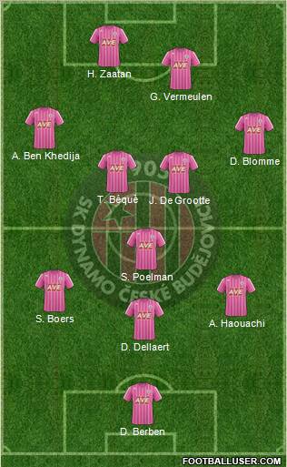 Ceske Budejovice Formation 2010