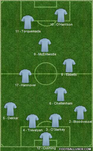 World Cup 2010 Team Formation 2010