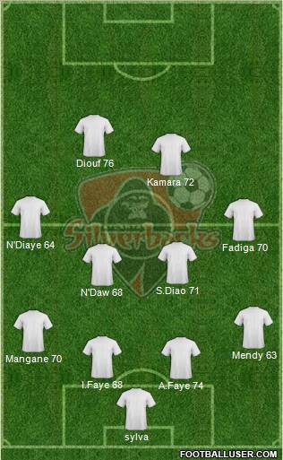 Atlanta Silverbacks Formation 2010