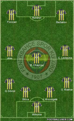 Fenerbahçe SK Formation 2010