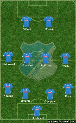 TSG 1899 Hoffenheim Formation 2010