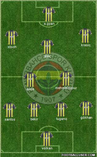 Fenerbahçe SK Formation 2010
