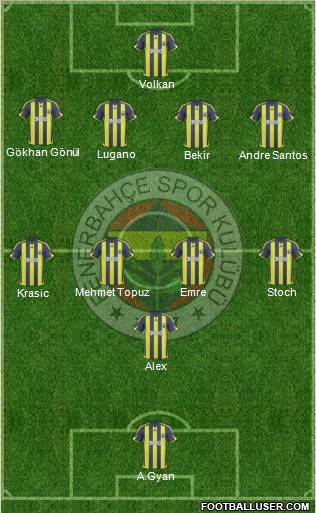 Fenerbahçe SK Formation 2010