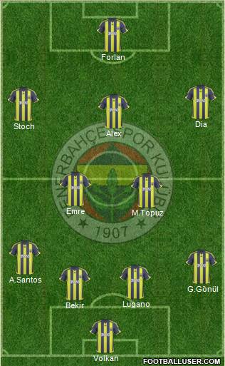 Fenerbahçe SK Formation 2010