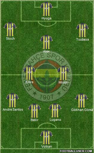 Fenerbahçe SK Formation 2010