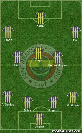 Fenerbahçe SK Formation 2010