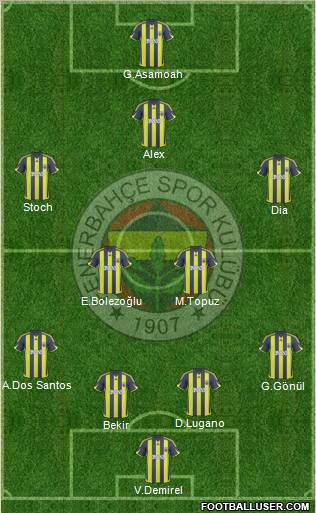 Fenerbahçe SK Formation 2010